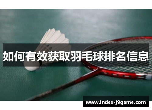 如何有效获取羽毛球排名信息
