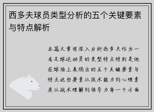 西多夫球员类型分析的五个关键要素与特点解析