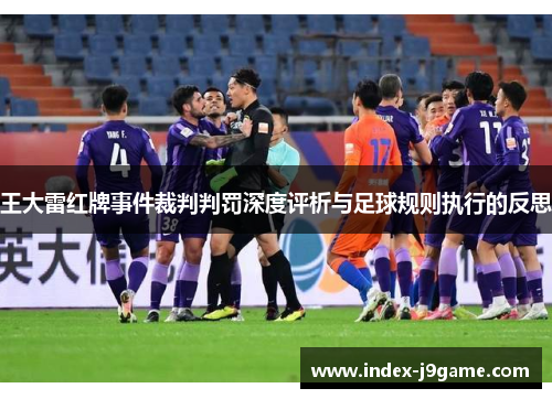 王大雷红牌事件裁判判罚深度评析与足球规则执行的反思